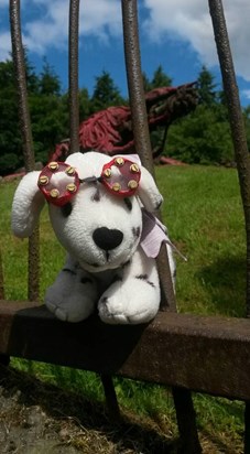 Lucky's Special Trip to Alton Towers 21-22/06/15