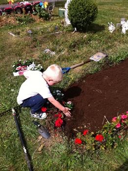 Louie looking after he's dads angel garden. xx