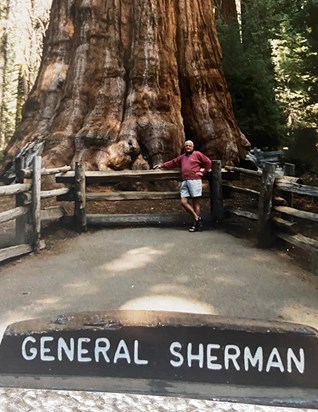 Trip to California- General Sherman is the largest single stem tree in the world 