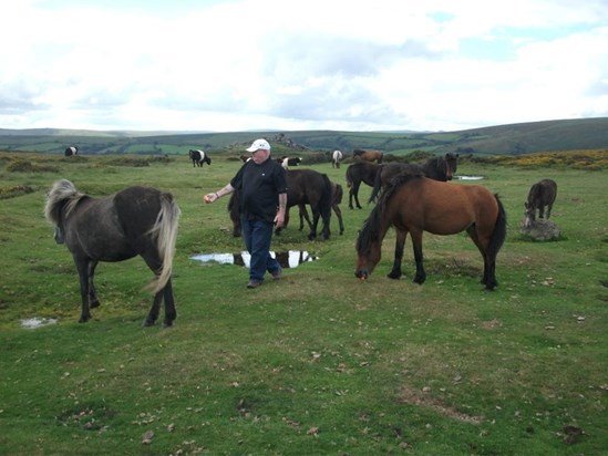 Fred on dartmoor feeding the poniesx