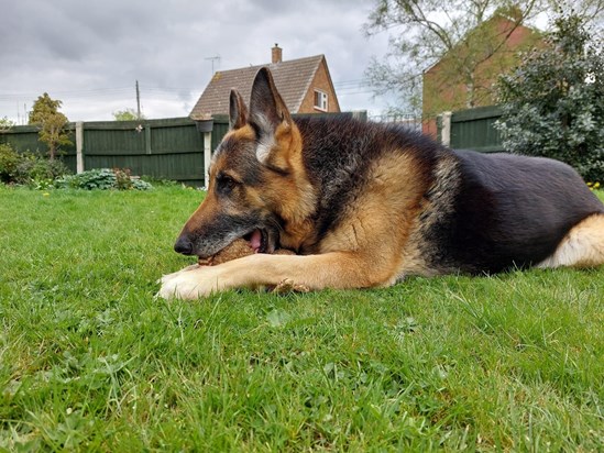 Barry’s best mate, he slept by Barry’s bed in the dining room looking after Barry.