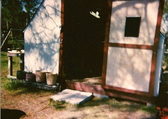 Pawpaw's old shed in Mississippi.