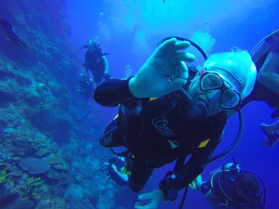 Diving in Dominican Republic