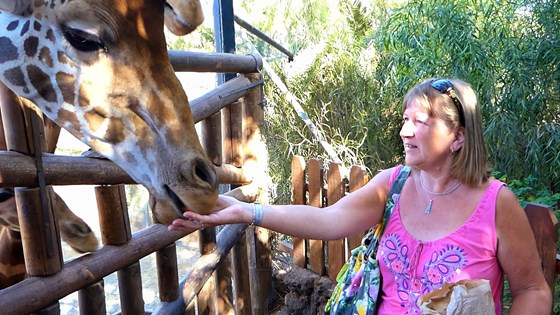 Sally and the giraffes at Fuerteventura.