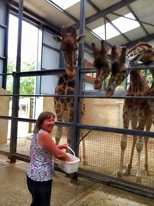 Sally feeding the giraffes at Cotswold Wildlife Park, courtesy of her birthday treat from Russell.