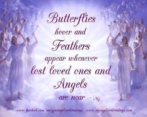 17659 butterflies and angels quotes