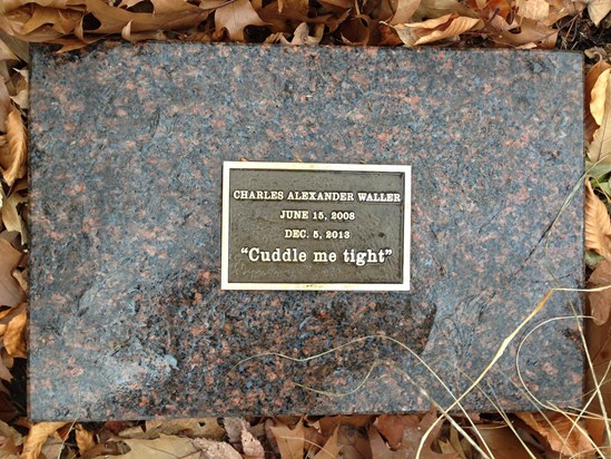 Charlie's grave at The Peoples Church in East Lansing, Michigan