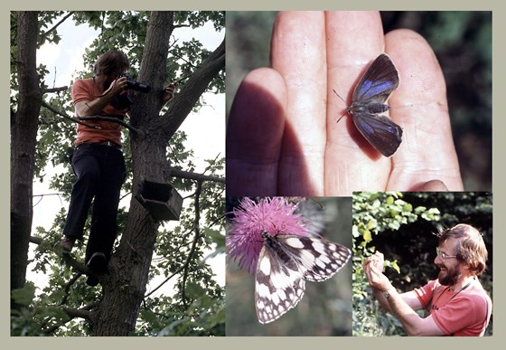 Brian and butterflies