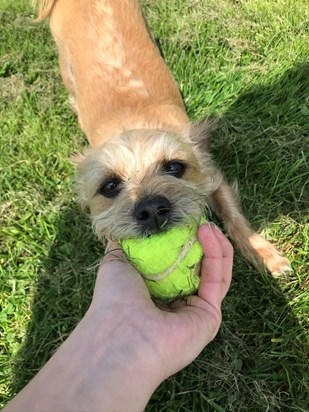 I loved to play fetch with my ball