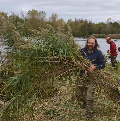 Steve helping reed bed management 2019 - rare to see him without a camera round his neck