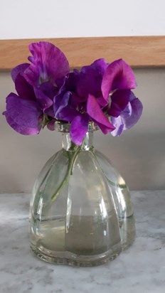 Where flowers bloom so do happy memories - Hilary’s sweet peas 