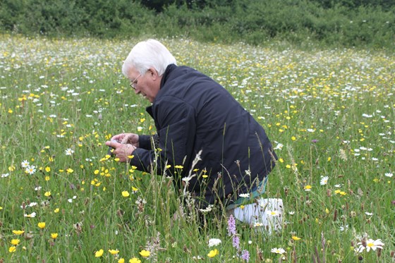 Orchid Hunting with Photography Group