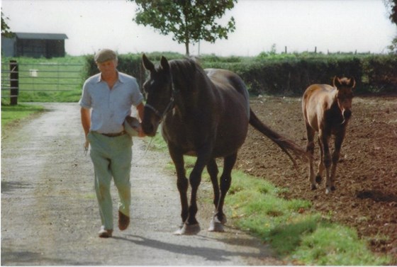 Photo 4 Pat with Mare and Foal