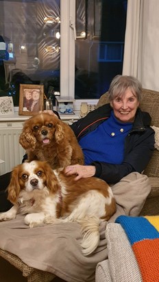 Norma, Tippy and Willow 2022