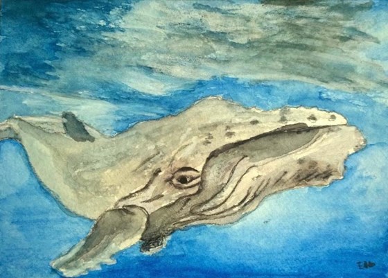 Whale painted by Eduardo
