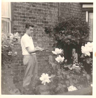 Denis spraying roses in the back garden of his family home in Wimbledon.