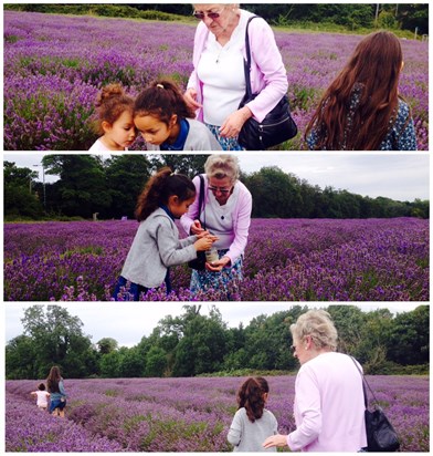 Rita going on a bug hunt in the lavender fields with her girls - Aug 2015