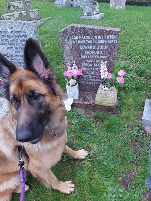 A picture Dad  of evie and the flowers I put on gran and grandads grave today, evie did try to eat the flowers but then soon realised they didn't taste nice 😂. Love and miss you so much Dad xxxx