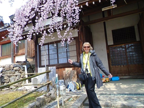 Anne with Cherry Blossom in Kyoto, Japan, March 2019.