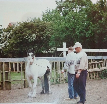 At great uncle Joe's stables