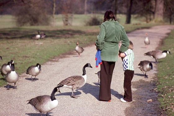 Mum in 1979, protecting me from the Geese