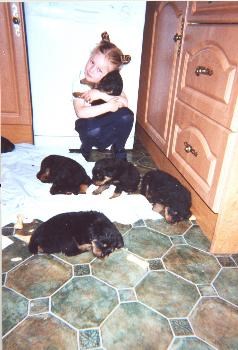 Taya with the puppies