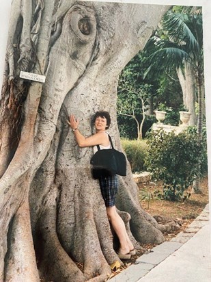 Tree hugging in Malta