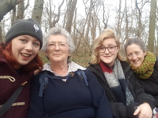 Stephen's Day walk, 2019