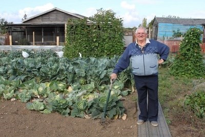daddys allotment