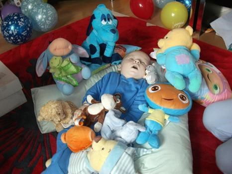 this is our warrick the morning he passed away with all his favourite cuddly toys