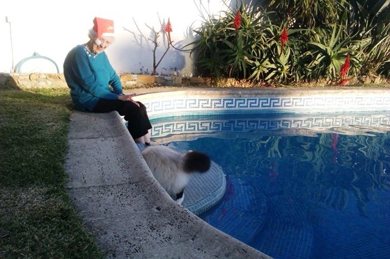 portugal, playing with georgie at the pool