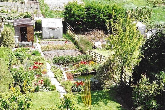 Mum's garden c1990. She also had two allotments, each of similar size to the garden