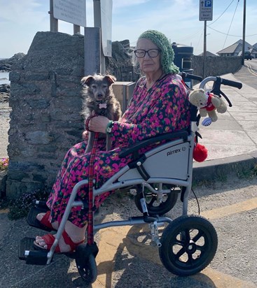 Trearddur Bay, Wales with Mimi