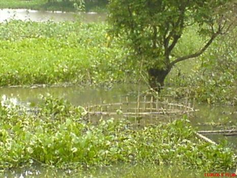 water has come in where dad got cremated 