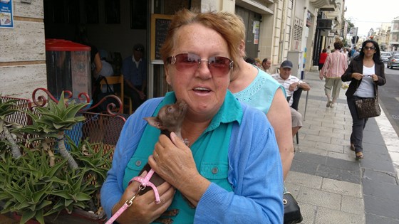She loved this little dog we met on street in malta