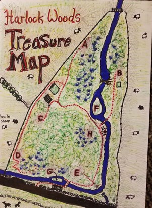 Party game map of Julian's wood
