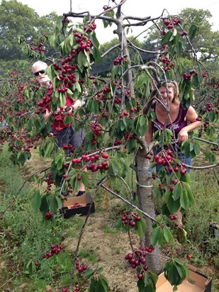 Cherry Picking 12th July
