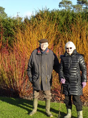 Mum and Dad at Hadlow College gardens  - 19th Jan 2016