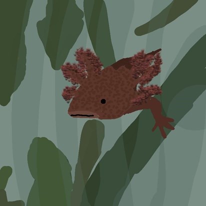 Henry’s  digital drawing of his axolotl 2020