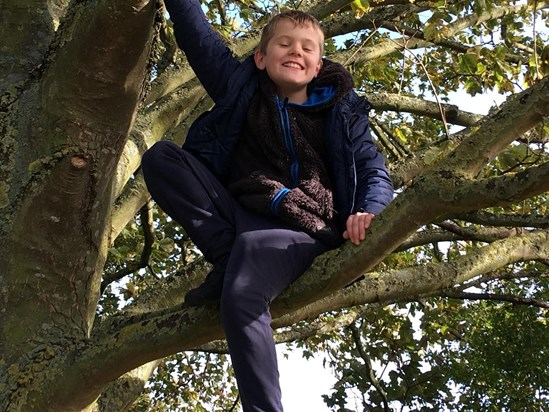 Great climbing trees