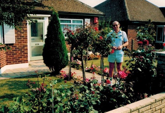 1984 Dad with his roses (2)