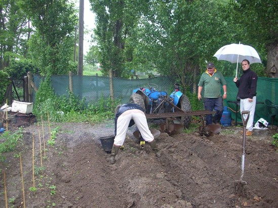 A wet day on the allotment May 2006