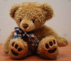 This Teddy is also called Logan