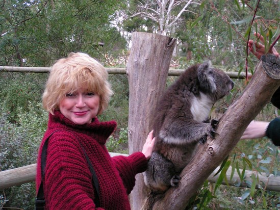 Anna Koala