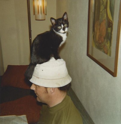 Robert, Cat Moky 1970