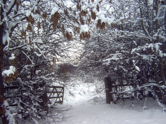 Banbury in Winter ( December the world sleeps awaiting rebirth ) XX