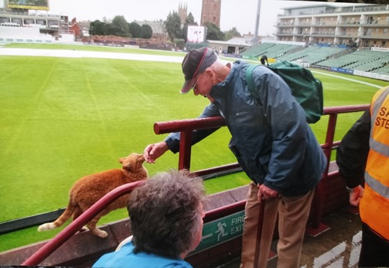 Old friends - Taunton 2019