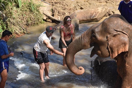 Washing elephants