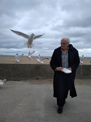 2018 Barmouth and a hungry seagull