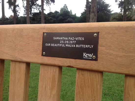 There is a new Malva Butterfly  a Kew Gardens it is you, Samy 